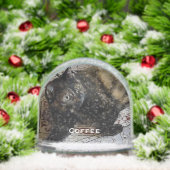 かわいい愛猫と犬、ベビー写真 (クリスマス)