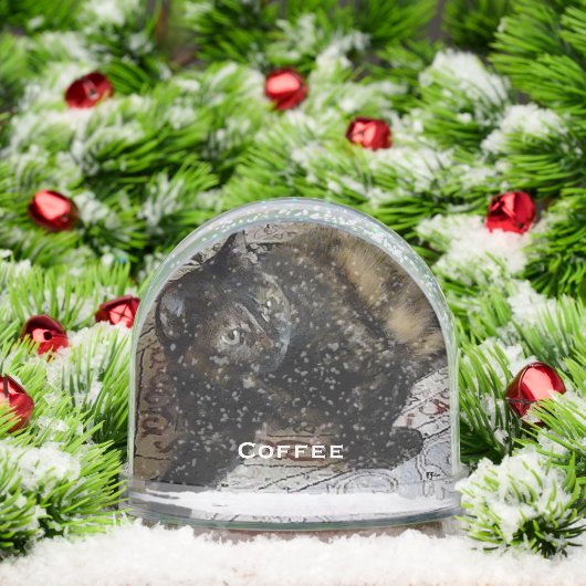 かわいい愛猫と犬、ベビー写真 (クリスマス)