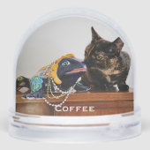 かわいい愛猫と犬、ベビー写真 (裏面)