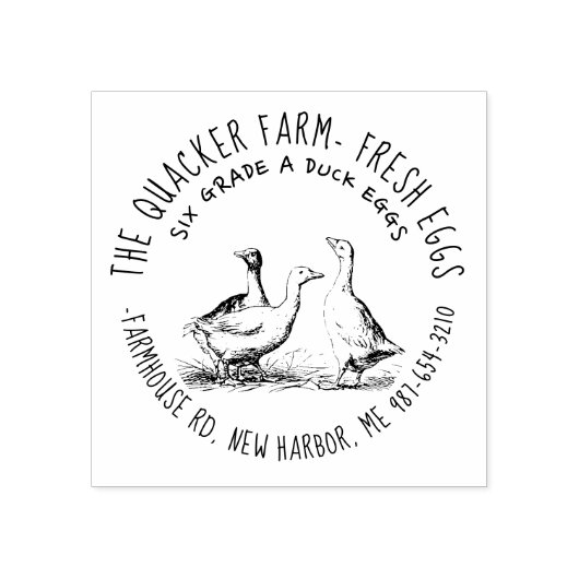 かわいい手描きイラストレーション地元のアヒル卵カートン ラバースタンプ (インプリント)