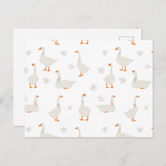 かわいい手描きガチョウとデイジー ポストカード (正面/裏面)