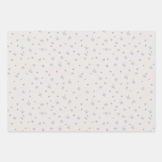 かわいい手描きパステルブルースターオンクリームテクスチャ ラッピングペーパーシート (正面)