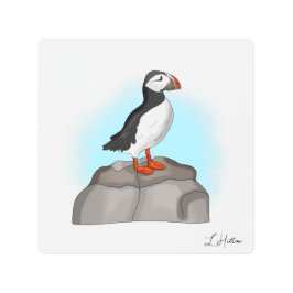 かわいい手描きパフィン メタルプリント