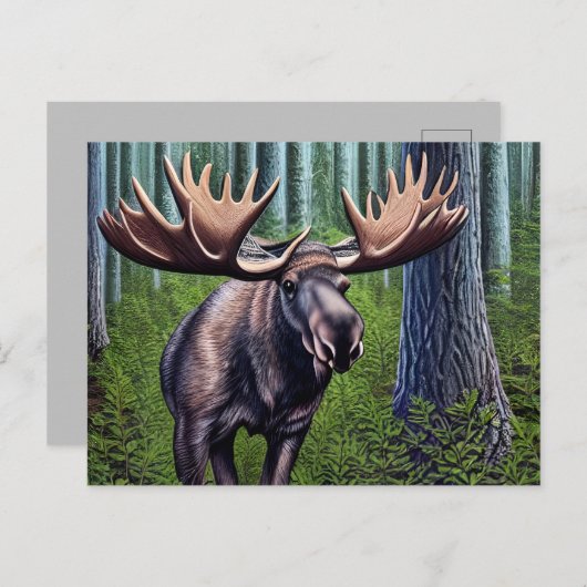 かわいい抽象芸術リトルムース ポストカード (正面/裏面)