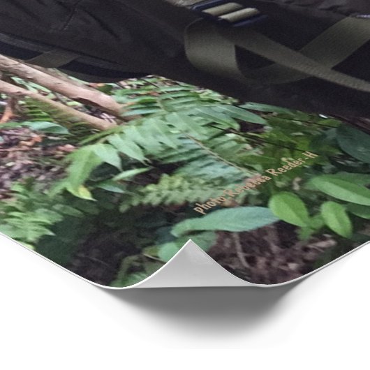 かわいい教室先生学生バックパック ポスター (角)