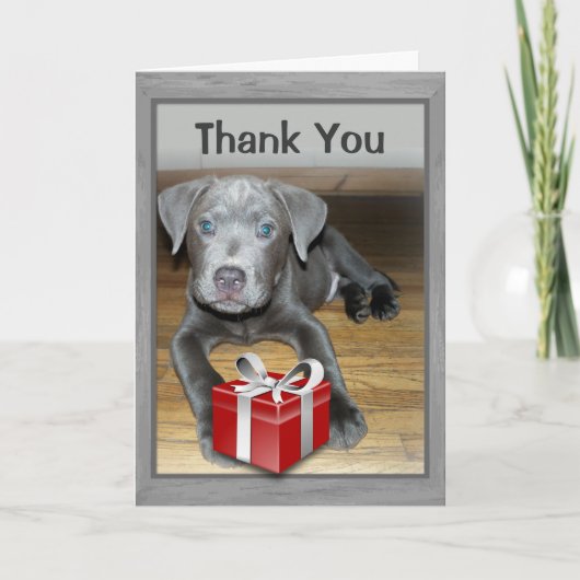 かわいい新しいペット犬/子犬の写真ありがとう カード (正面)