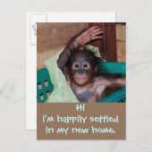 かわいい新しい住所の変更 案内ポストカード (正面/裏面)