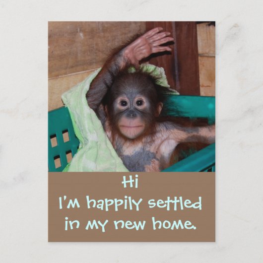 かわいい新しい住所の変更 案内ポストカード (正面)