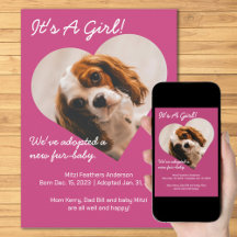 かわいい新しい子犬