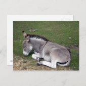 かわいい新しい森のロバ ポストカード (正面/裏面)