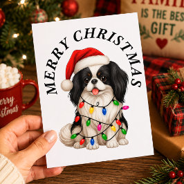 かわいい日本狆のサンタ帽子 クリスマス