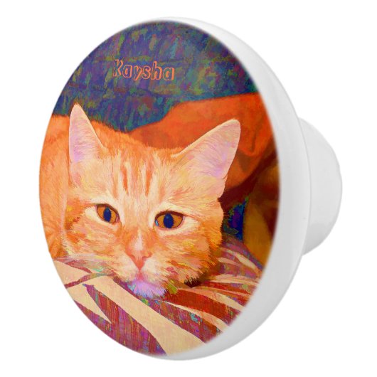 かわいい明るいオレンジ色のタビーネコ セラミックノブ (右)