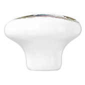 かわいい明るい亀のセラミックノブ セラミックノブ (側面)