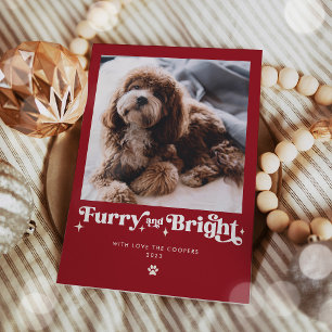 かわいい明るい犬の写真 面白いクリスマス シーズンカード