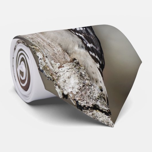 かわいい木こら ネクタイ (ロール)