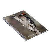 かわいい木こら ノートブック (右側)