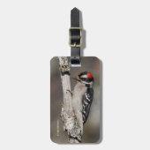 かわいい木こら ラゲッジタグ (正面縦)