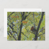 かわいい木のロビンお礼ポストカード ポストカード (正面/裏面)