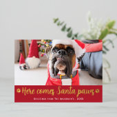 かわいい来こちらサンタポーズ犬の写真 箔シーズンカード (立ち正面)