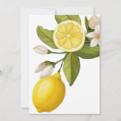 かわいい柑橘系ベビーシャワー 招待状 (裏面)