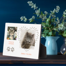 かわいい柔らかいキットエンジェル