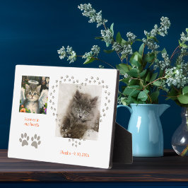 かわいい柔らかいキットエンジェル フォトプラーク