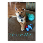かわいい柴犬の子犬とおもちゃ フォトテンプレート (正面)