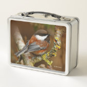 かわいい栗の裏の《鳥》アメリカゴガラソンバード メタルランチボックス (裏面)