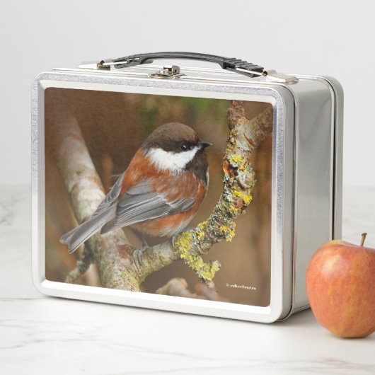 かわいい栗の裏の《鳥》アメリカゴガラソンバード メタルランチボックス (インサイチュ)