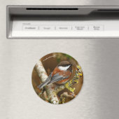 かわいい栗の裏の《鳥》アメリカゴガラ松の木 マグネット (インサイチュ (食洗機))