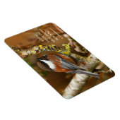 かわいい栗の裏の《鳥》アメリカゴガラ松の木 マグネット (右側)