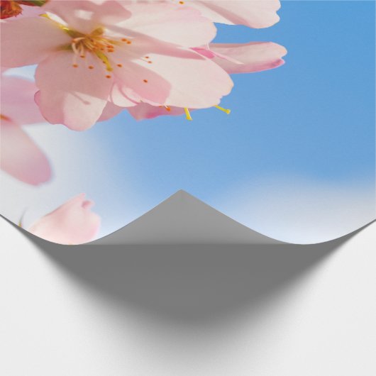 かわいい桜の花が太陽の光に開く春 ラッピングペーパー (角)