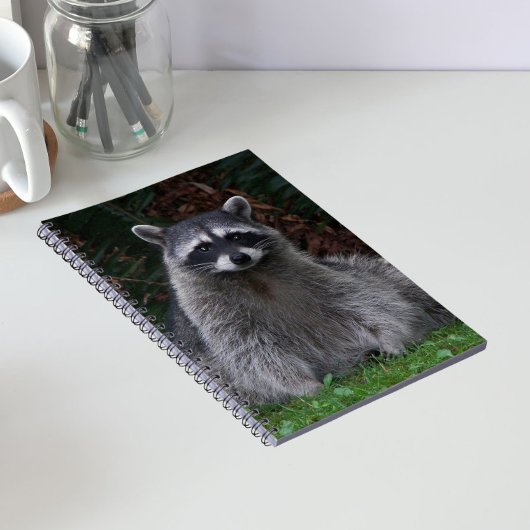 かわいい森のアライグマの野生写真 ノートブック