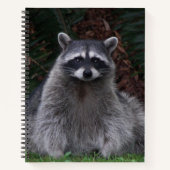 かわいい森のアライグマ野生写真ノート ノートブック (正面)