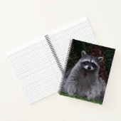 かわいい森のアライグマ野生写真ノート ノートブック (内部)