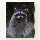 かわいい森のアライグマ野生写真ノート ノートブック (裏面)