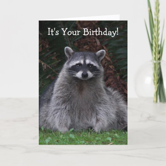 かわいい森のラッコの写真 面白い誕生日 カード (正面)