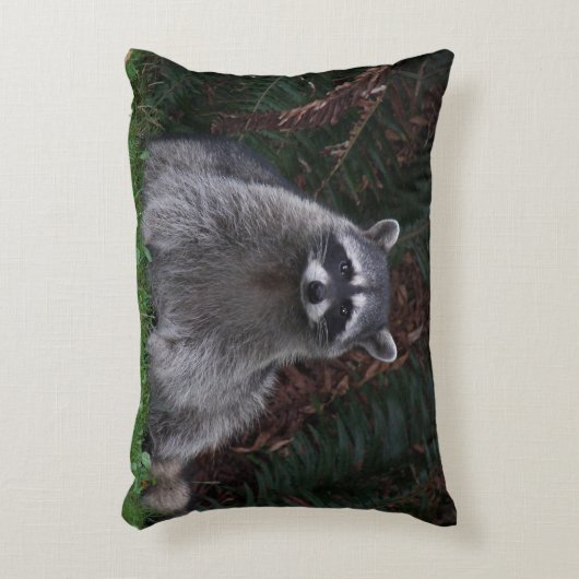 かわいい森ラクーン野生動物の写真 アクセントクッション (正面(垂直))