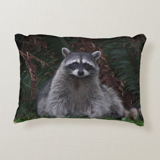 かわいい森ラクーン野生動物の写真 アクセントクッション (裏面)