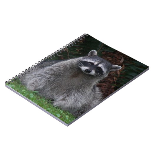 かわいい森ラクーン野生動物の写真 ノートブック (左側)