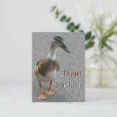 かわいい歩くアヒル 誕生日ポストカード ポストカード (スタンド正面)