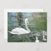 かわいい母の白鳥とベビー母の日はがき ポストカード (正面/裏面)