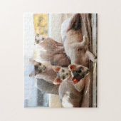 かわいい毛のない猫の窓 – Sphynx ジグソーパズル (縦)