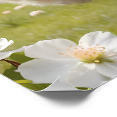 かわいい毛のふわふわした羊 ポスター (角)