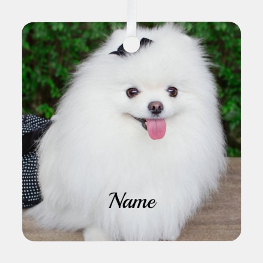 かわいい毛羽立ち白い子犬 メタルオーナメント (正面)