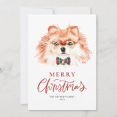 かわいい水の色のポメラニア犬ドッグメリークリスマス シーズンカード (正面)