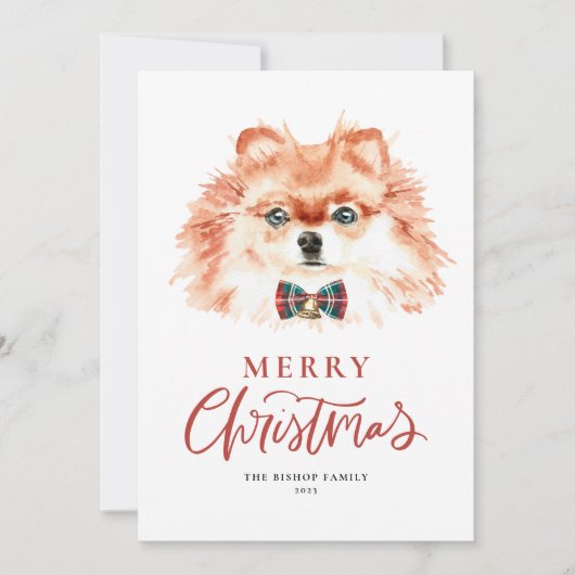 かわいい水の色のポメラニア犬ドッグメリークリスマス シーズンカード (正面)