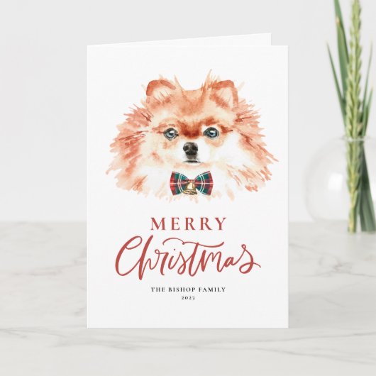 かわいい水の色のポメラニア犬ドッグメリークリスマス シーズンカード (正面)