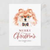 かわいい水の色のポメラニア犬ドッグメリークリスマス シーズンポストカード (正面)
