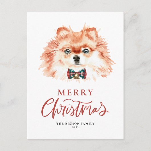 かわいい水の色のポメラニア犬ドッグメリークリスマス シーズンポストカード (正面)